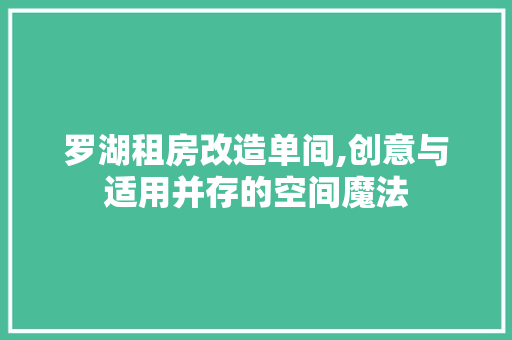 罗湖租房改造单间,创意与适用并存的空间魔法