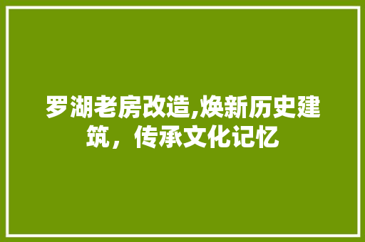 罗湖老房改造,焕新历史建筑，传承文化记忆