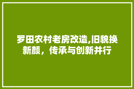 罗田农村老房改造,旧貌换新颜，传承与创新并行