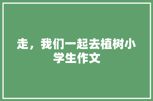 美丽乡村改造记,小白房变身时尚厨房，打造农村生活新体验