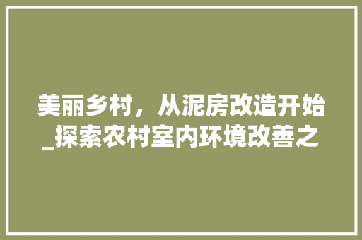 美丽乡村，从泥房改造开始_探索农村室内环境改善之路