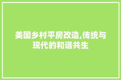 美国乡村平房改造,传统与现代的和谐共生