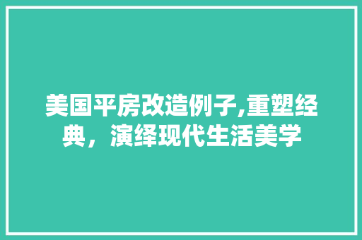 美国平房改造例子,重塑经典，演绎现代生活美学