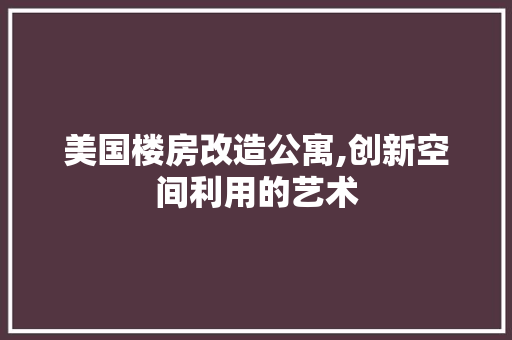 美国楼房改造公寓,创新空间利用的艺术