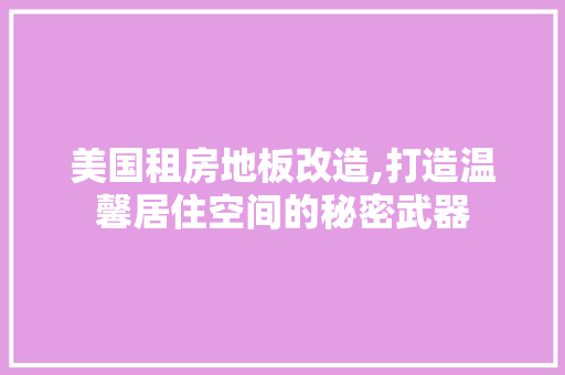 美国租房地板改造,打造温馨居住空间的秘密武器