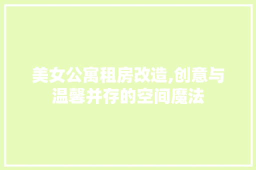 美女公寓租房改造,创意与温馨并存的空间魔法
