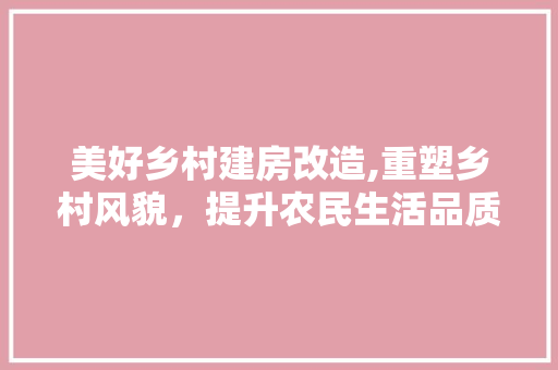 美好乡村建房改造,重塑乡村风貌，提升农民生活品质