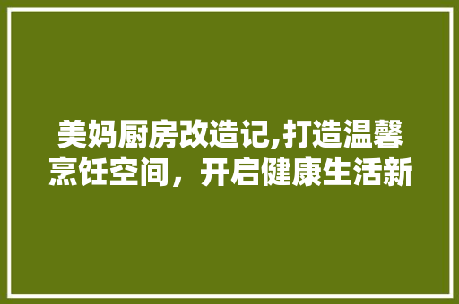 美妈厨房改造记,打造温馨烹饪空间，开启健康生活新篇章