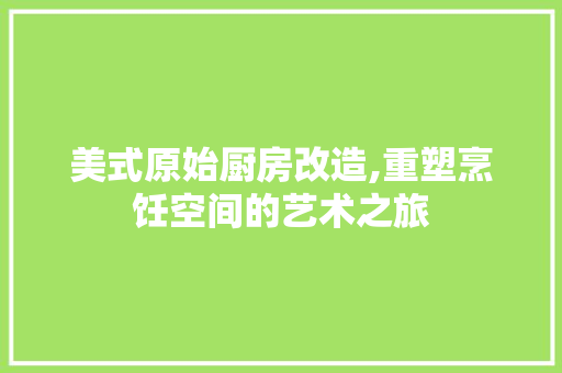 美式原始厨房改造,重塑烹饪空间的艺术之旅