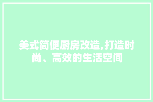 美式简便厨房改造,打造时尚、高效的生活空间
