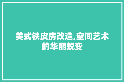 美式铁皮房改造,空间艺术的华丽蜕变