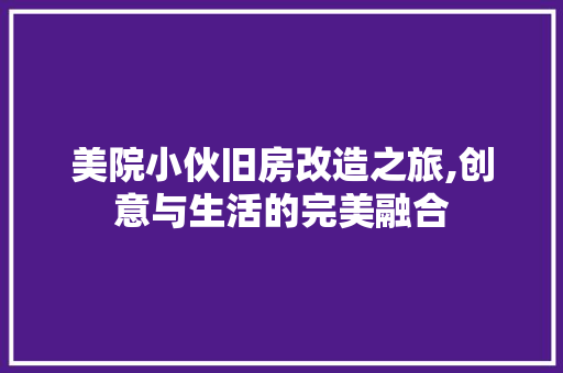 美院小伙旧房改造之旅,创意与生活的完美融合
