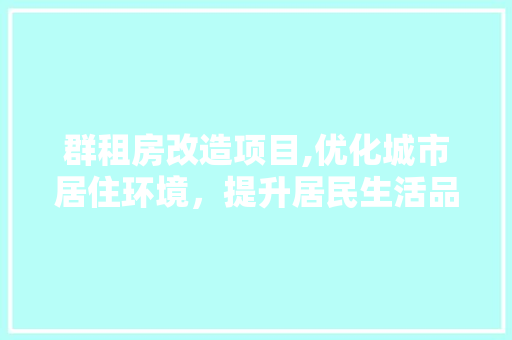 群租房改造项目,优化城市居住环境，提升居民生活品质
