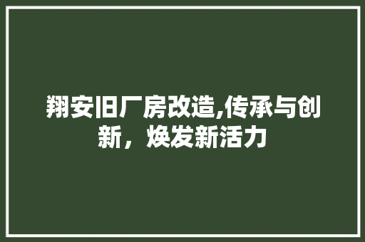 翔安旧厂房改造,传承与创新，焕发新活力