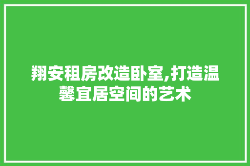 翔安租房改造卧室,打造温馨宜居空间的艺术