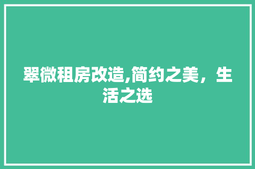 翠微租房改造,简约之美，生活之选