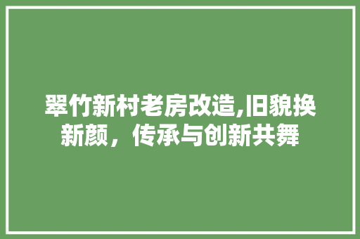 翠竹新村老房改造,旧貌换新颜，传承与创新共舞