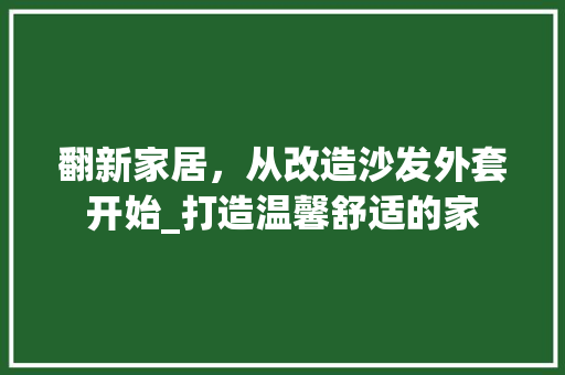 翻新家居，从改造沙发外套开始_打造温馨舒适的家