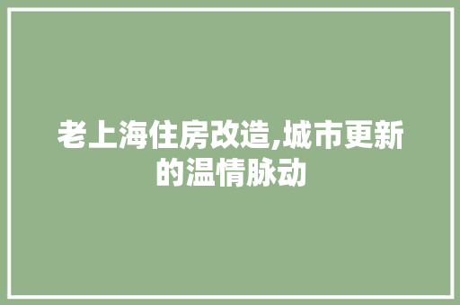 老上海住房改造,城市更新的温情脉动