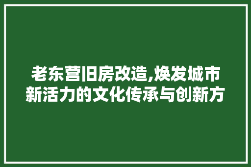 老东营旧房改造,焕发城市新活力的文化传承与创新方法