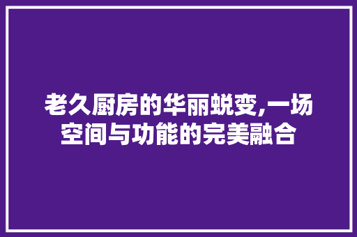 老久厨房的华丽蜕变,一场空间与功能的完美融合