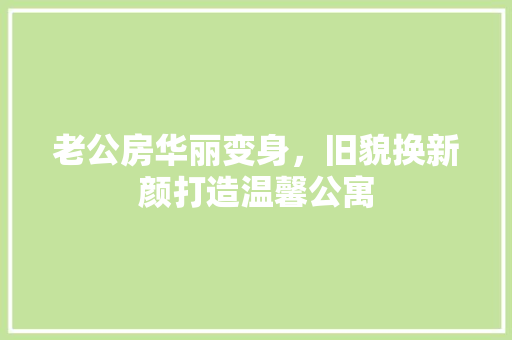 老公房华丽变身，旧貌换新颜打造温馨公寓