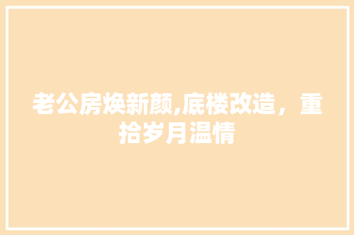 老公房焕新颜,底楼改造，重拾岁月温情