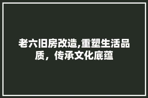 老六旧房改造,重塑生活品质，传承文化底蕴