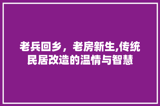 老兵回乡，老房新生,传统民居改造的温情与智慧
