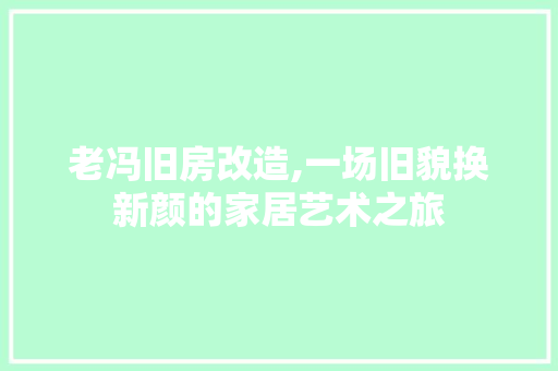 老冯旧房改造,一场旧貌换新颜的家居艺术之旅