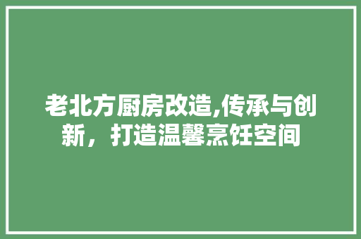 老北方厨房改造,传承与创新，打造温馨烹饪空间