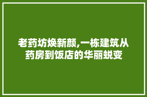 老药坊焕新颜,一栋建筑从药房到饭店的华丽蜕变