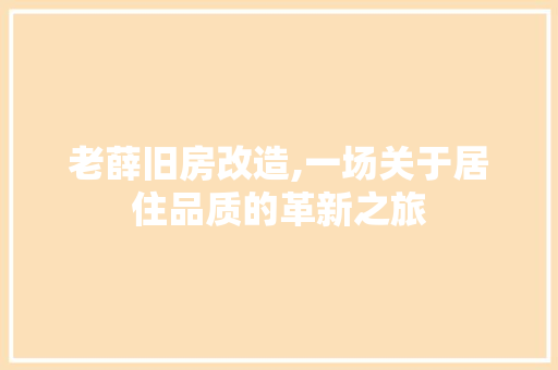 老薛旧房改造,一场关于居住品质的革新之旅