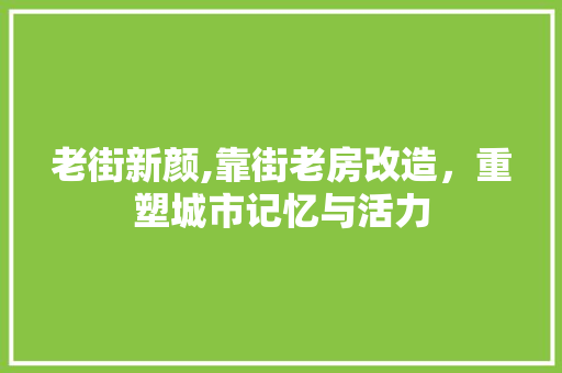 老街新颜,靠街老房改造，重塑城市记忆与活力