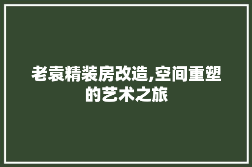 老袁精装房改造,空间重塑的艺术之旅