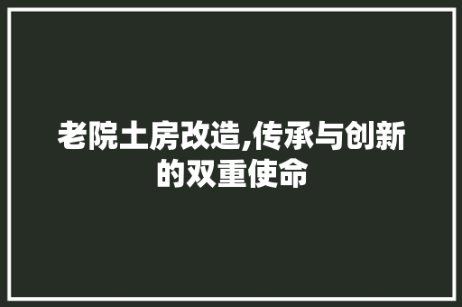 老院土房改造,传承与创新的双重使命