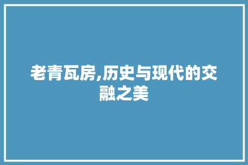 老青瓦房,历史与现代的交融之美