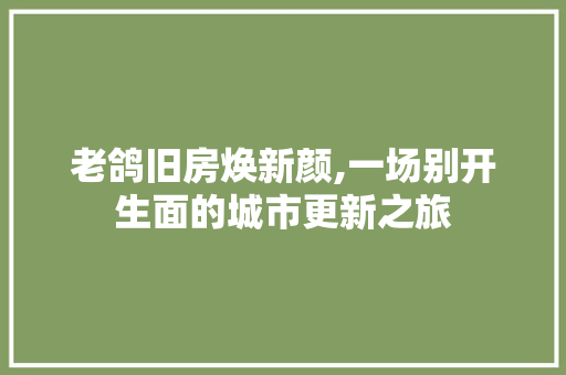老鸽旧房焕新颜,一场别开生面的城市更新之旅