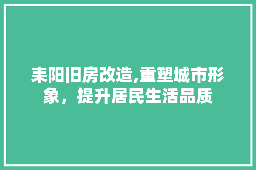 耒阳旧房改造,重塑城市形象，提升居民生活品质