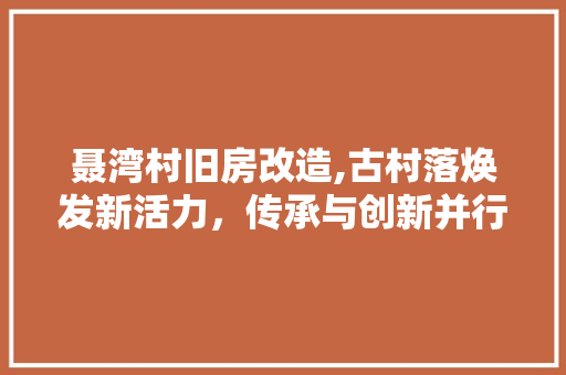 聂湾村旧房改造,古村落焕发新活力，传承与创新并行