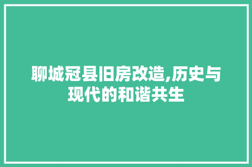 聊城冠县旧房改造,历史与现代的和谐共生