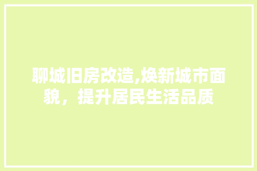 聊城旧房改造,焕新城市面貌，提升居民生活品质