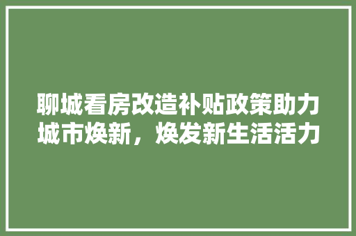 聊城看房改造补贴政策助力城市焕新，焕发新生活活力