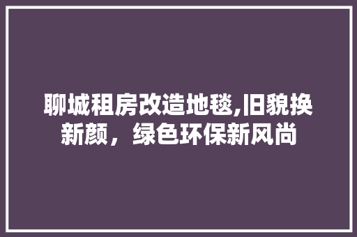 聊城租房改造地毯,旧貌换新颜，绿色环保新风尚