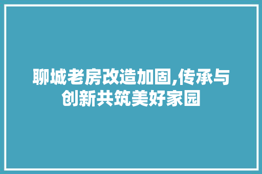聊城老房改造加固,传承与创新共筑美好家园