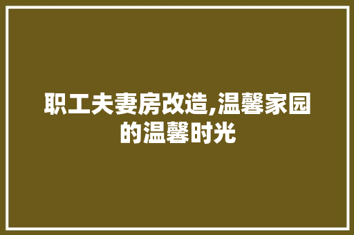 职工夫妻房改造,温馨家园的温馨时光 墙体维修