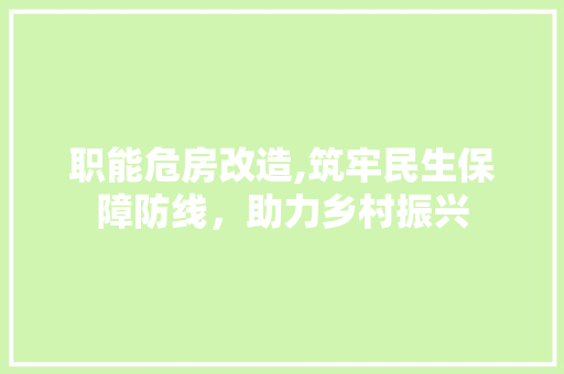职能危房改造,筑牢民生保障防线，助力乡村振兴