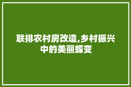 联排农村房改造,乡村振兴中的美丽蝶变 墙体维修