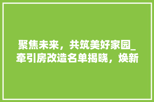 聚焦未来，共筑美好家园_牵引房改造名单揭晓，焕新城市生活新篇章 墙体维修