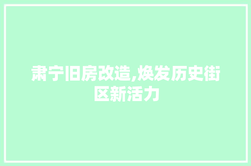 肃宁旧房改造,焕发历史街区新活力